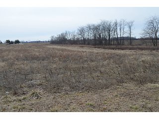 24 Grassland Acres - 20+/- Acres Wooded & 24+/- Acres Grassland, LAND AUCTION